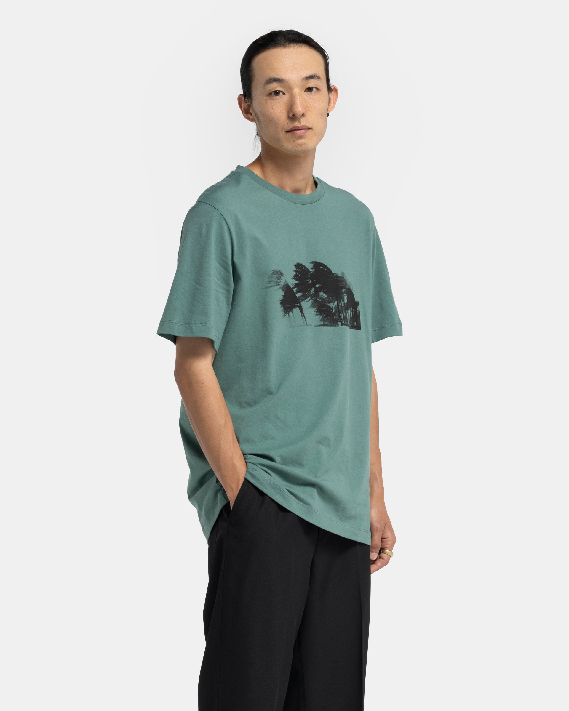 Palms T-Shirt in Pine