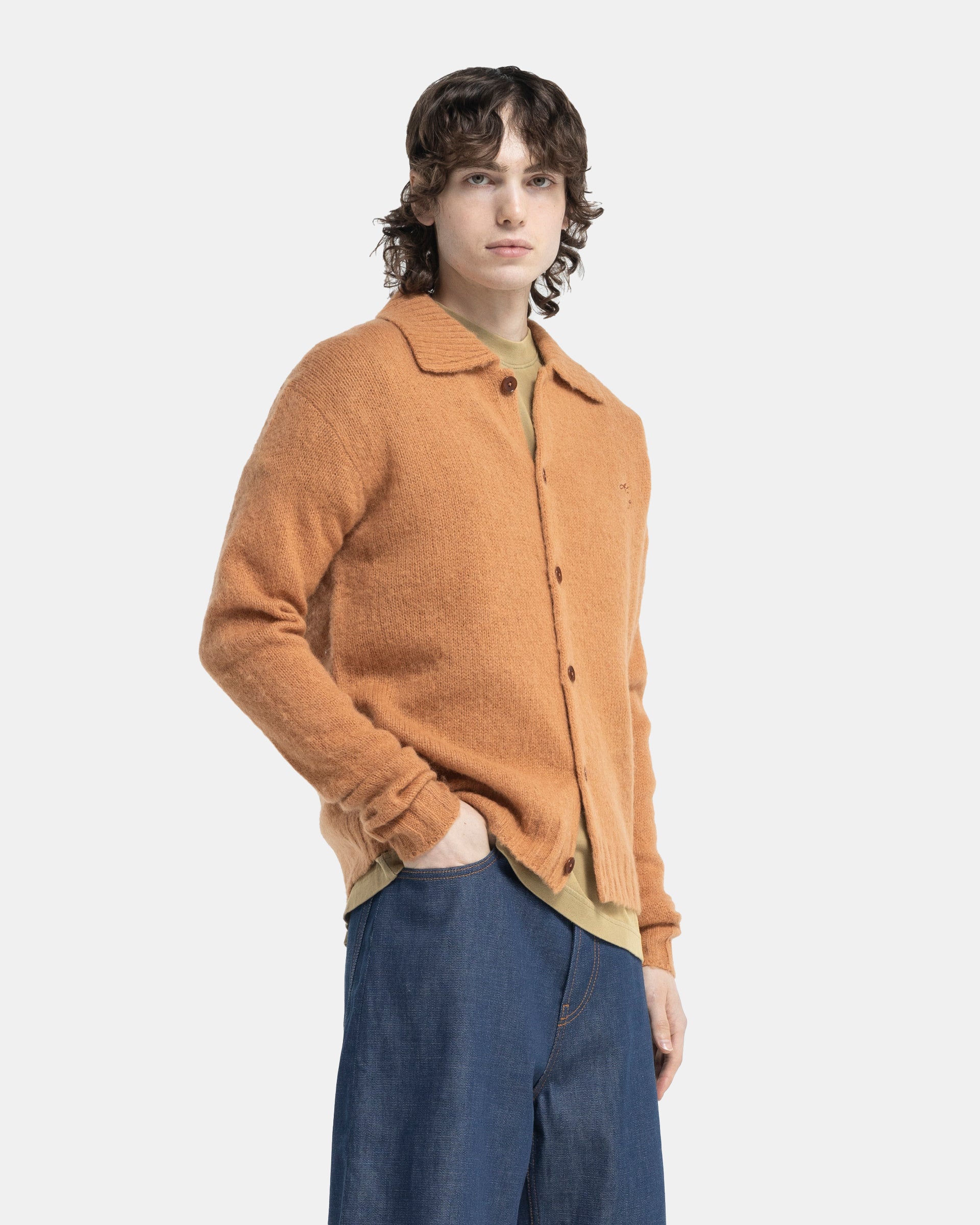 Polo Wool Cardigan in Almond Brown