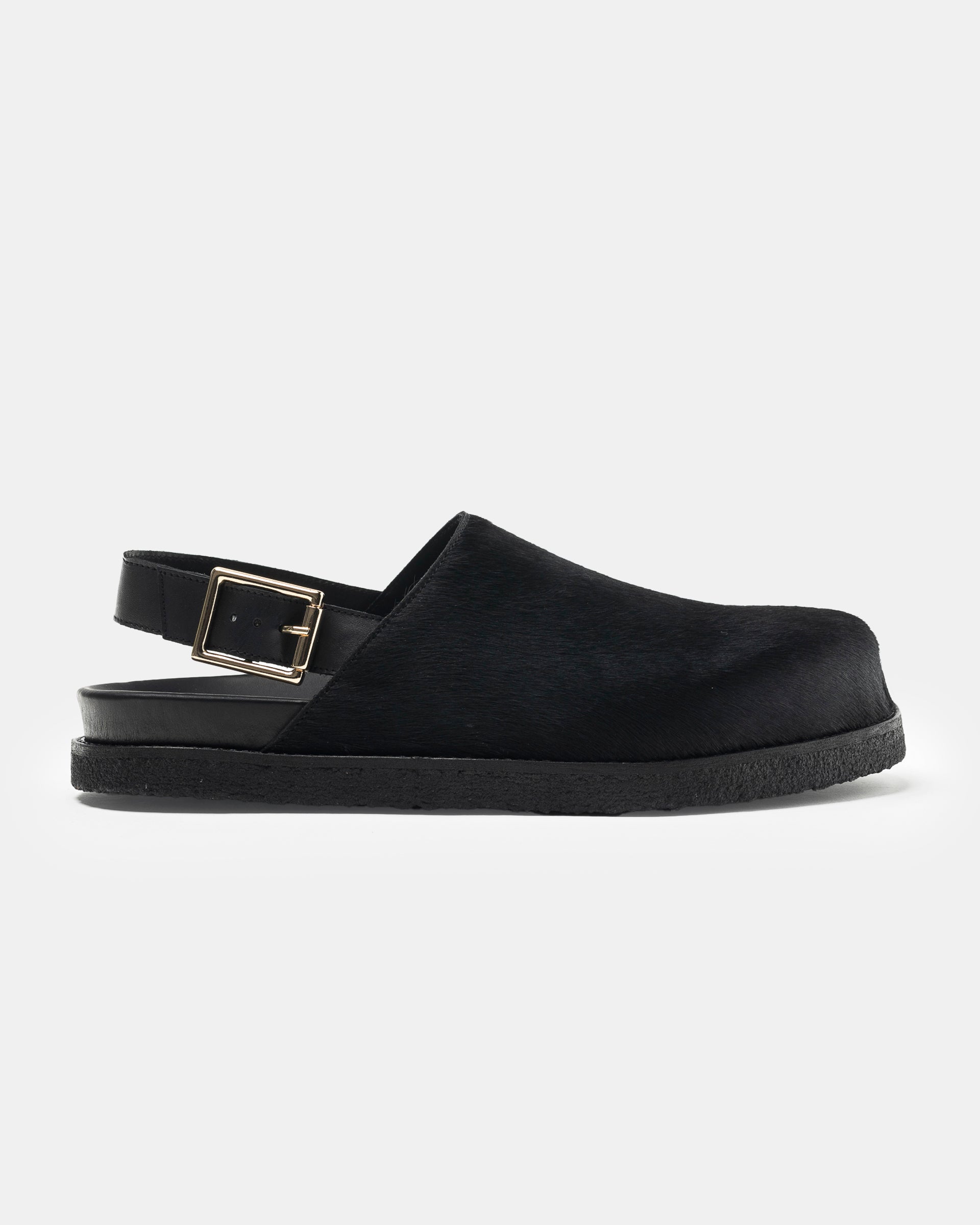 Strapped Mule in Black Ponyhair on white background
