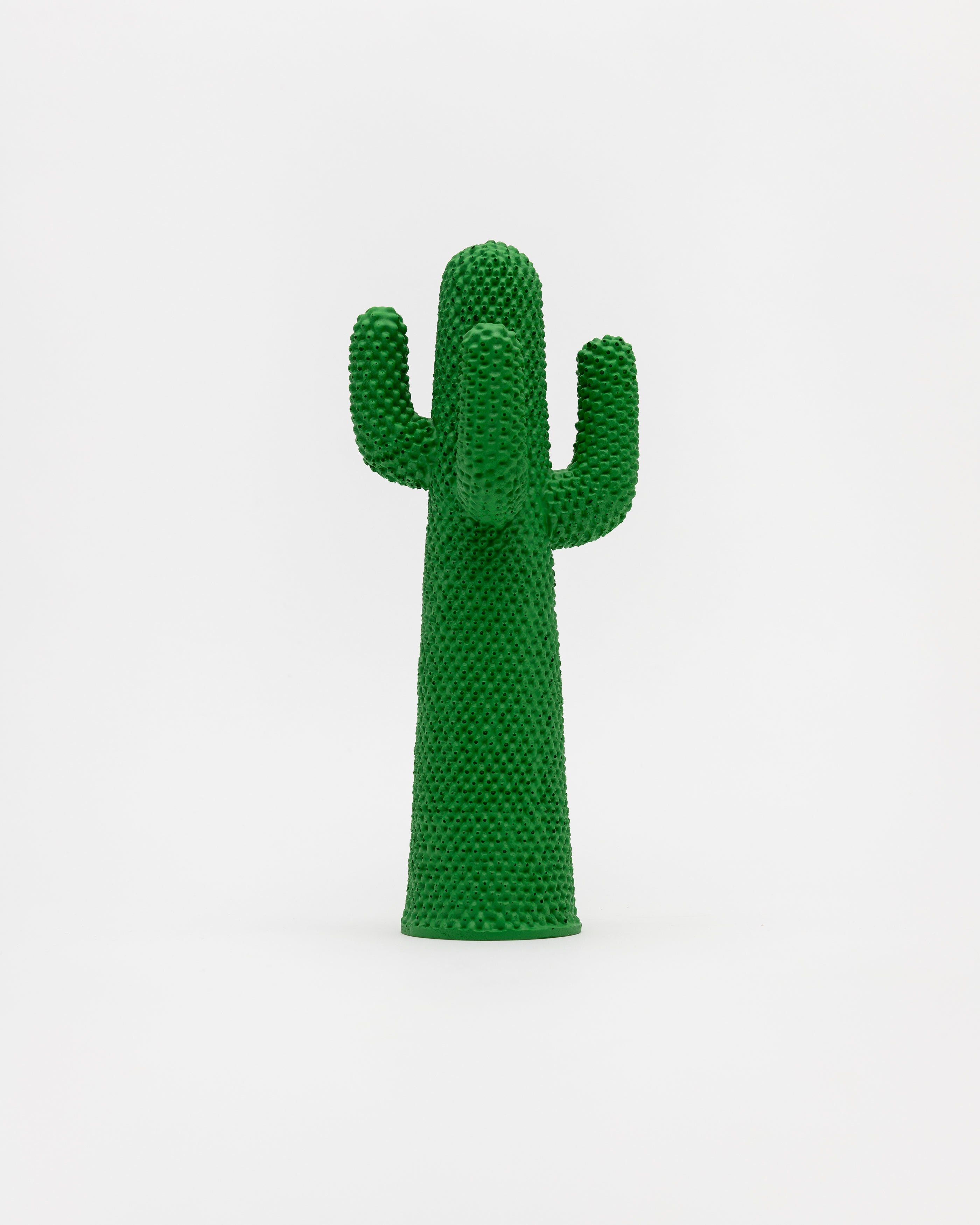 Mini Cactus