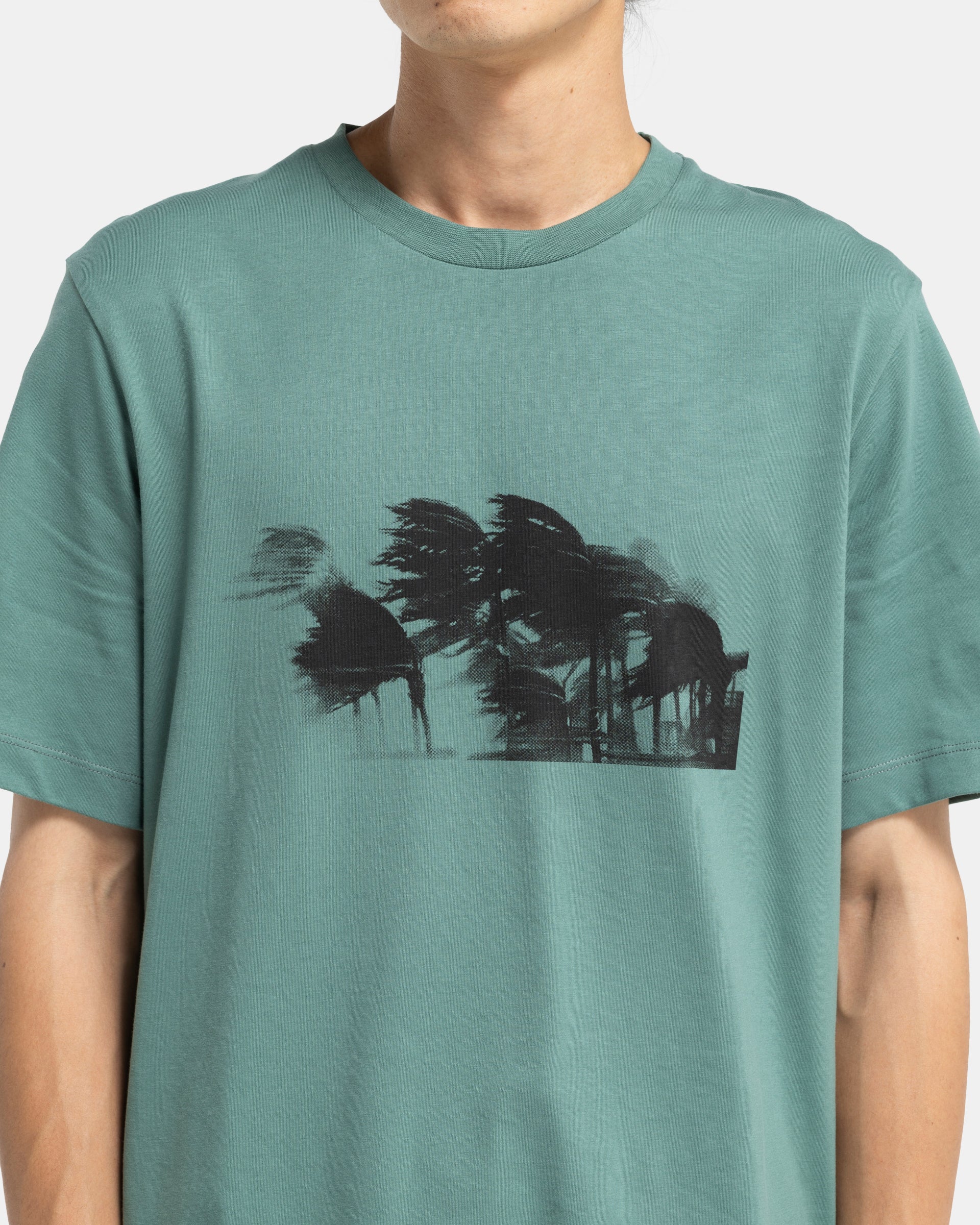 Palms T-Shirt in Pine