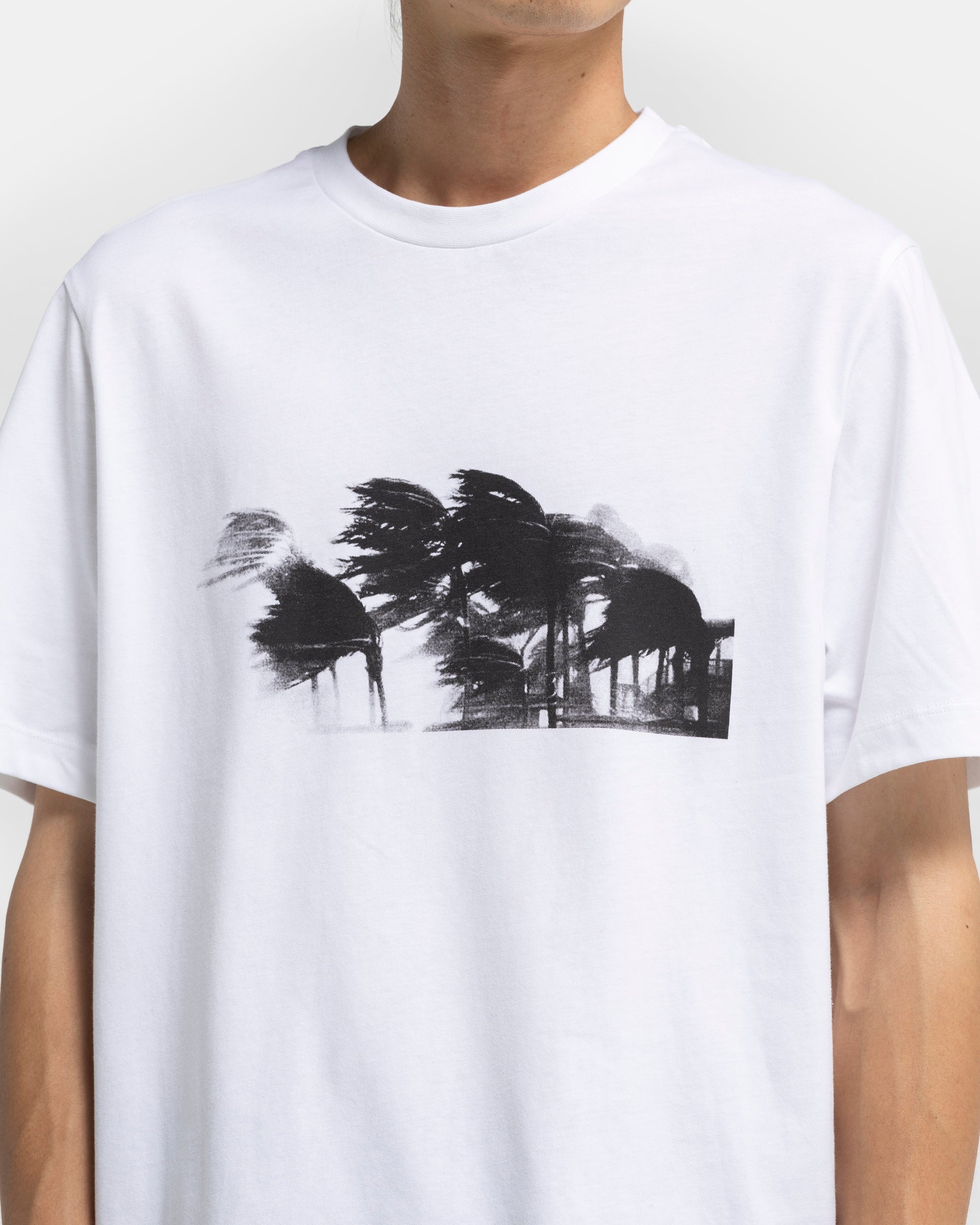 Palms T-Shirt in Off-White