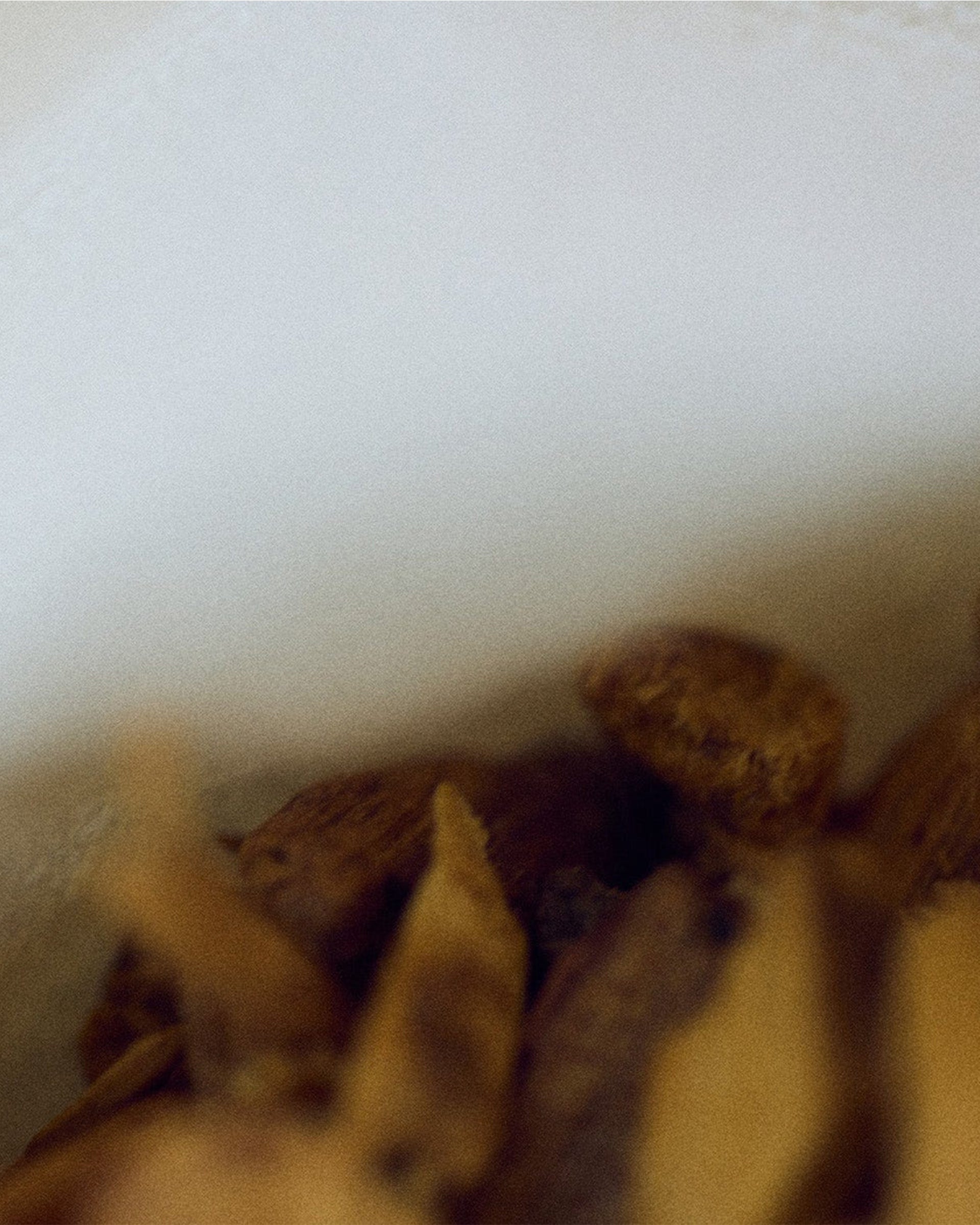 PEACE TALK Scented Candle