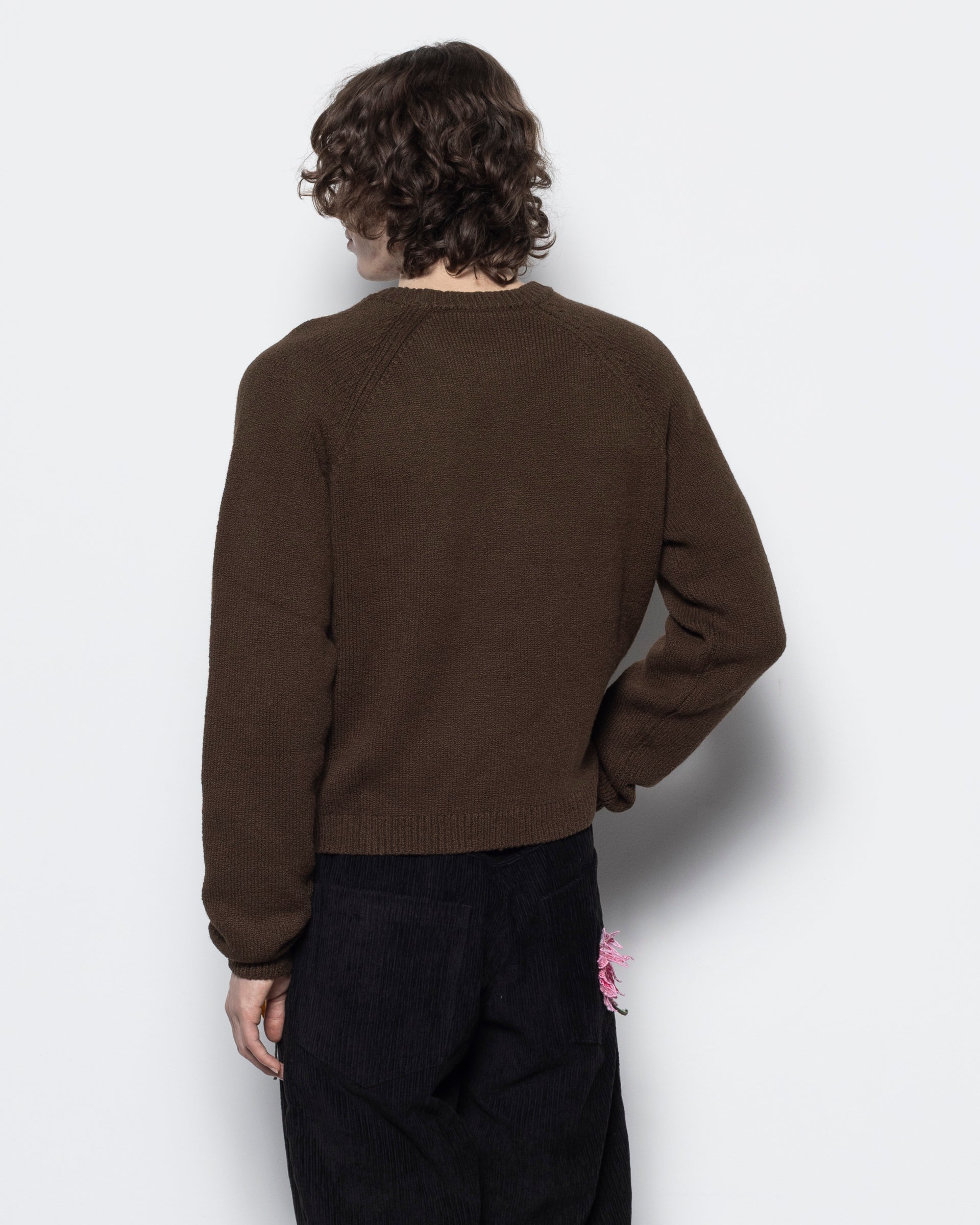 Crewneck Jumper in Brown