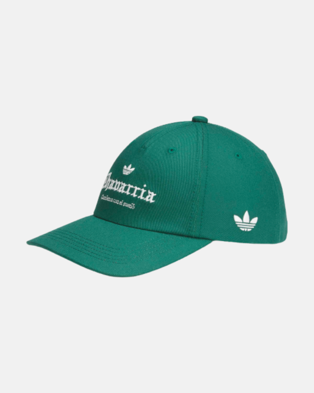 Chavarria Logo Hat in Green