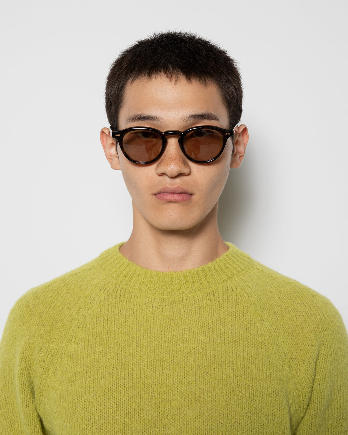 Ciro in Deep Tortoise