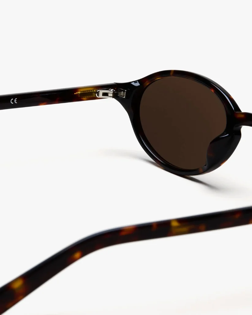 Lex in Deep Tortoise