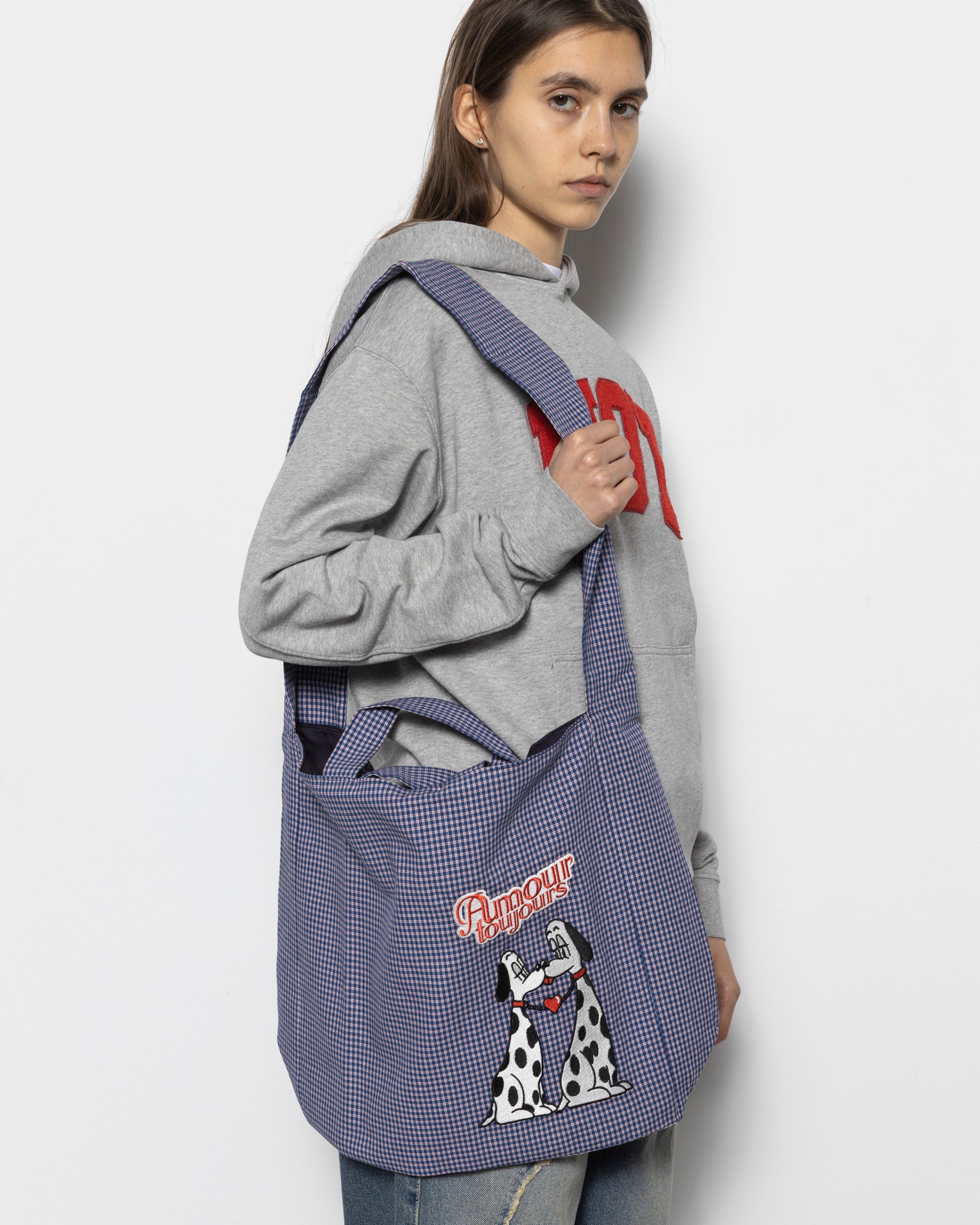 The Doggy Bag in Blue Check