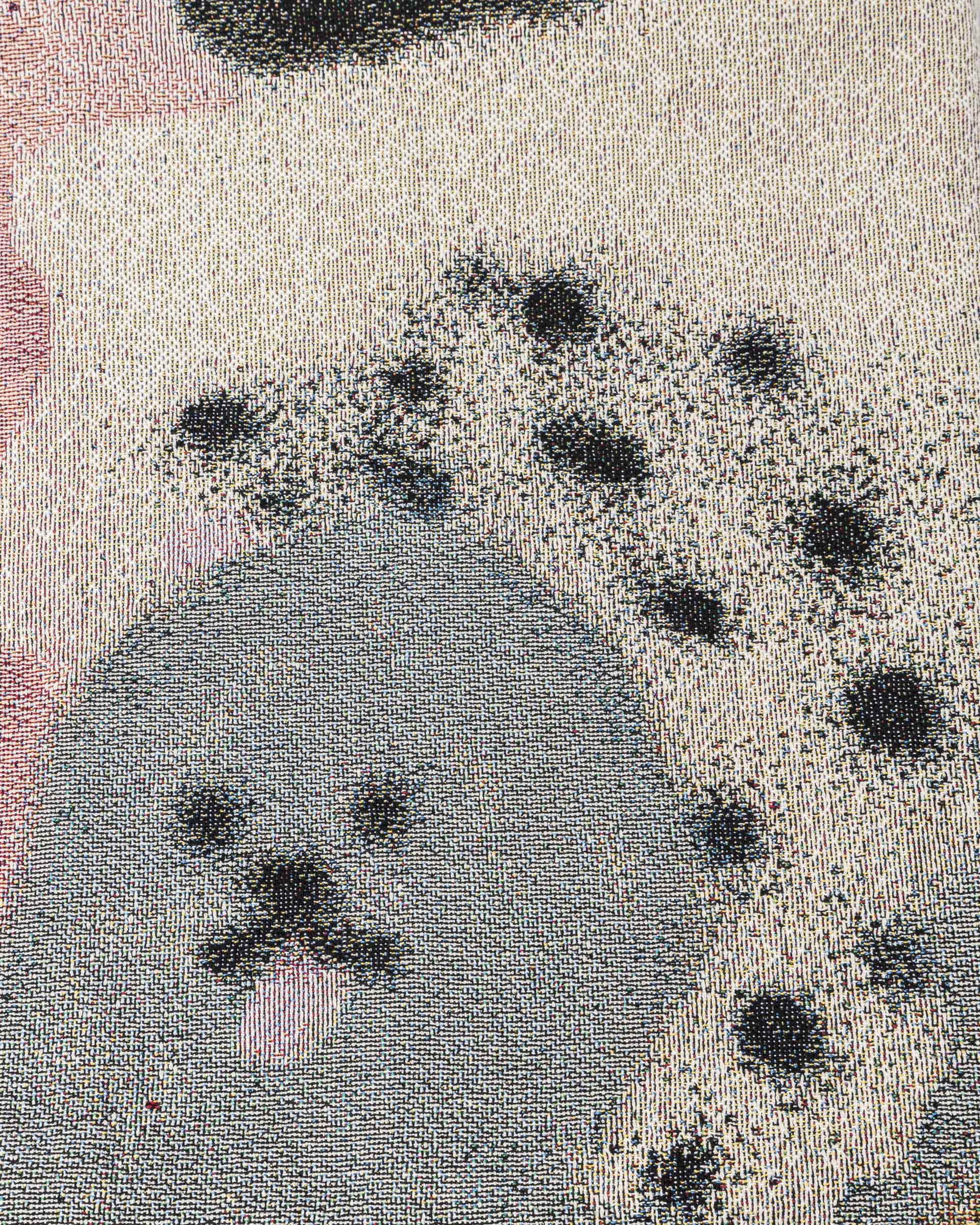 Carne Bollente Woof & Wild Woven Throw in Multi | RODEN GRAY
