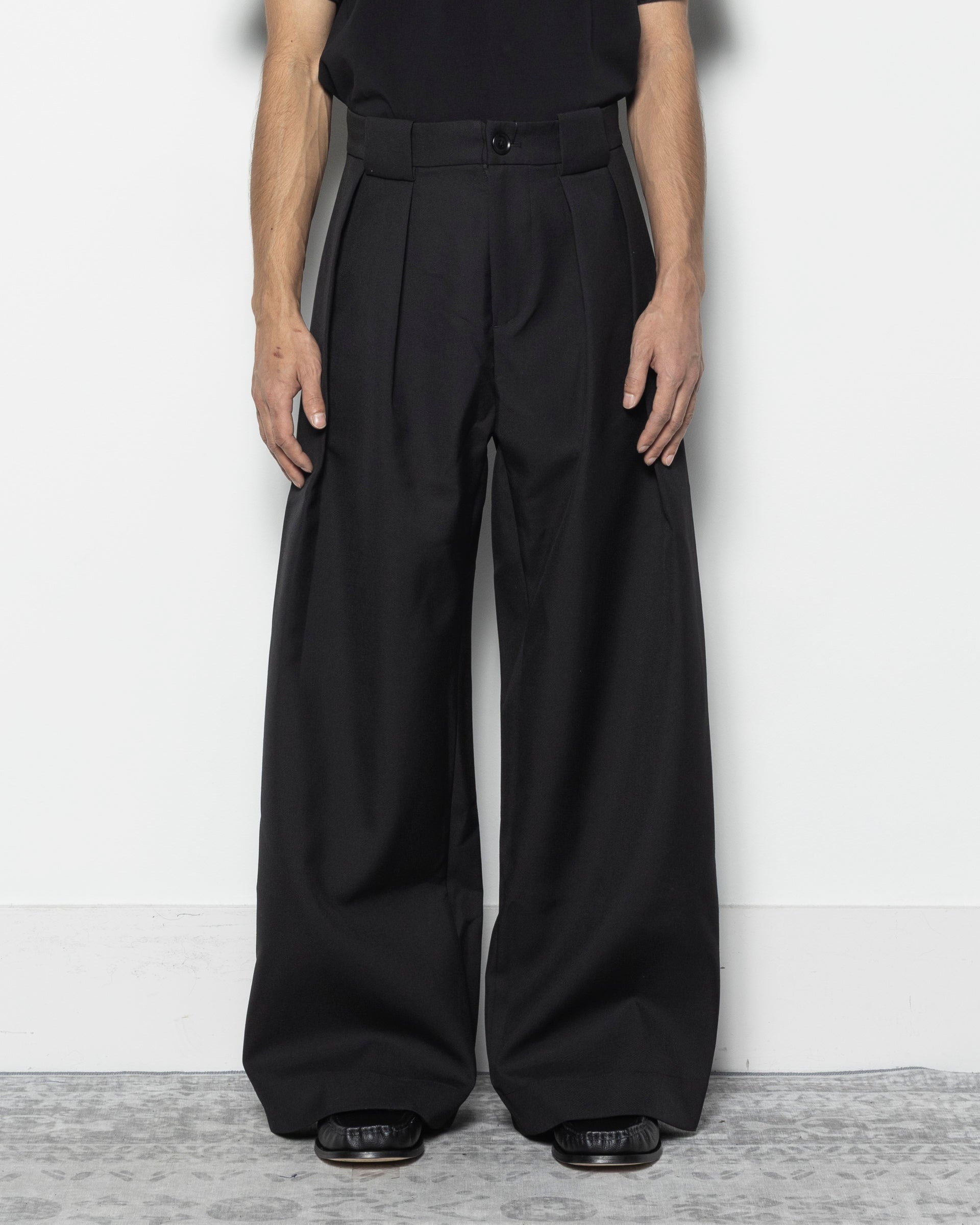 Basel Triple Pleated Pants W/P in Black