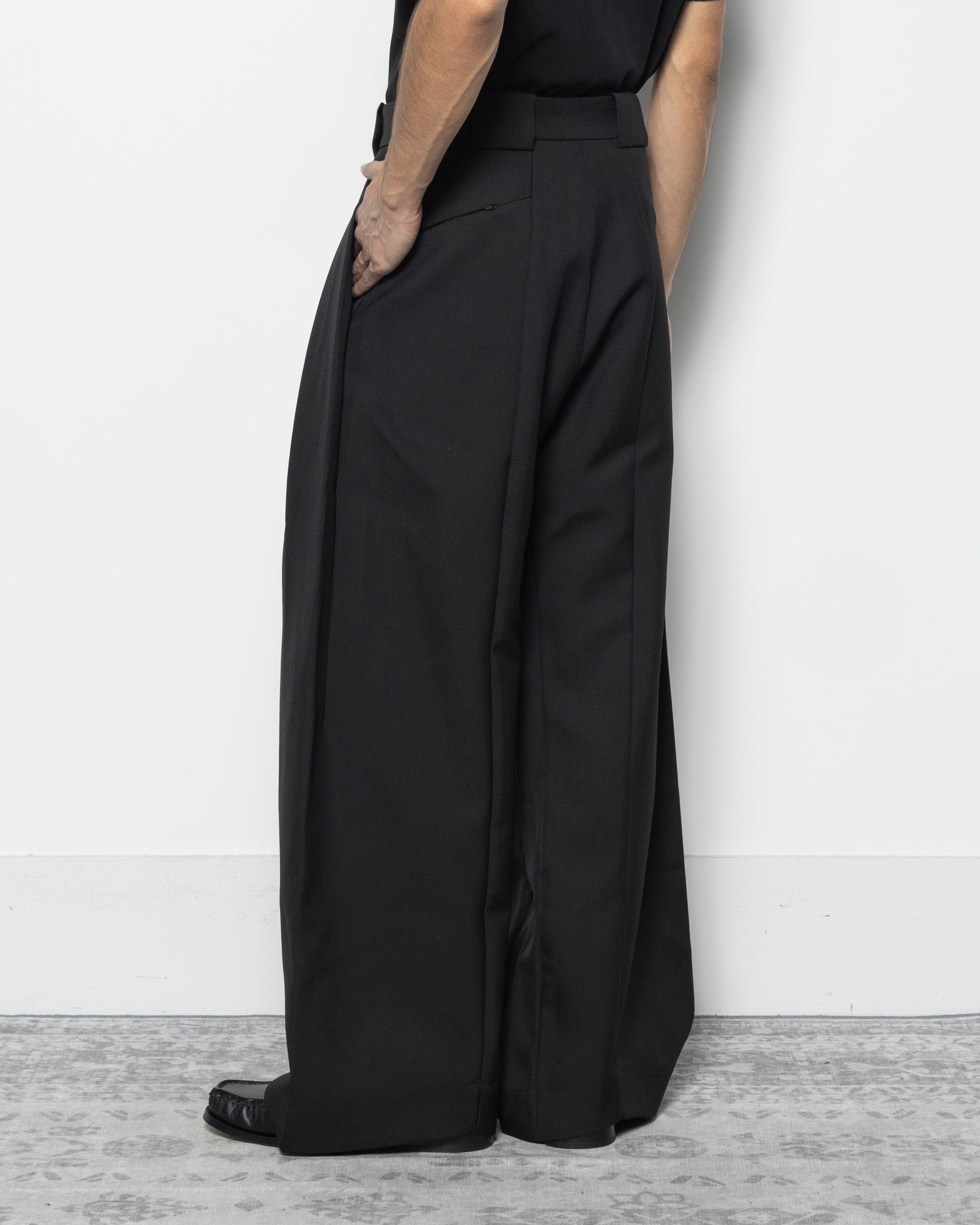 Basel Triple Pleated Pants W/P in Black