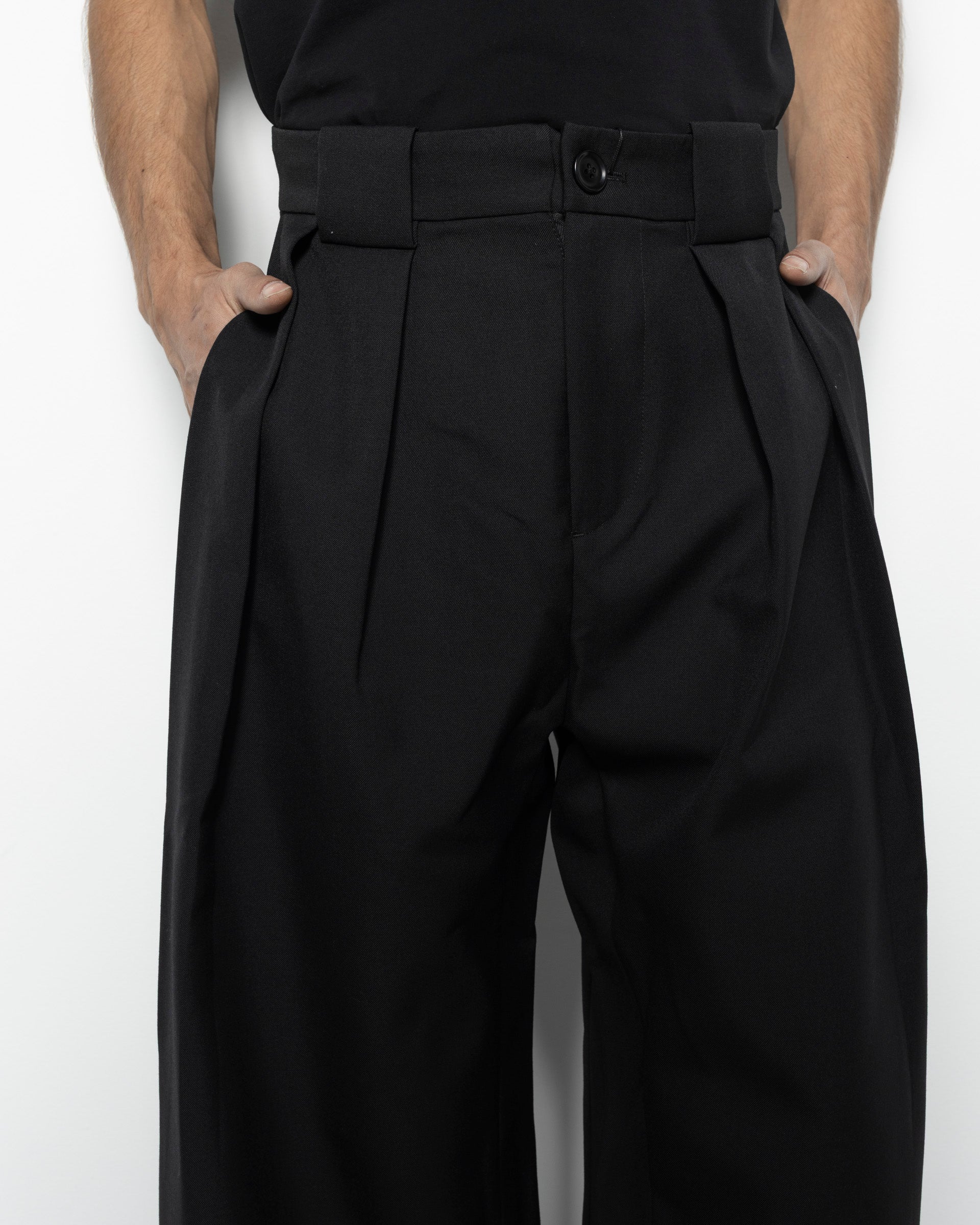 Basel Triple Pleated Pants W/P in Black