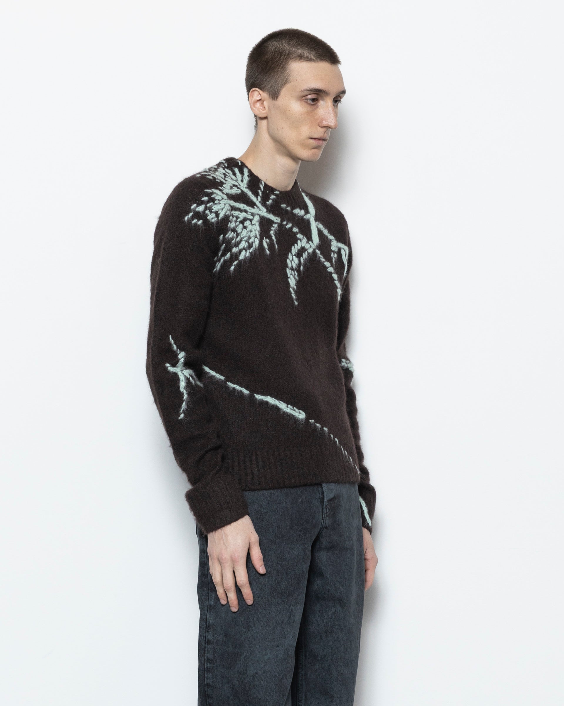【専用】DRIES VAN NOTEN　スパンコール付きセーター Dries Van Noten Mouche Sweater in Dark Brown | RODEN GRAY