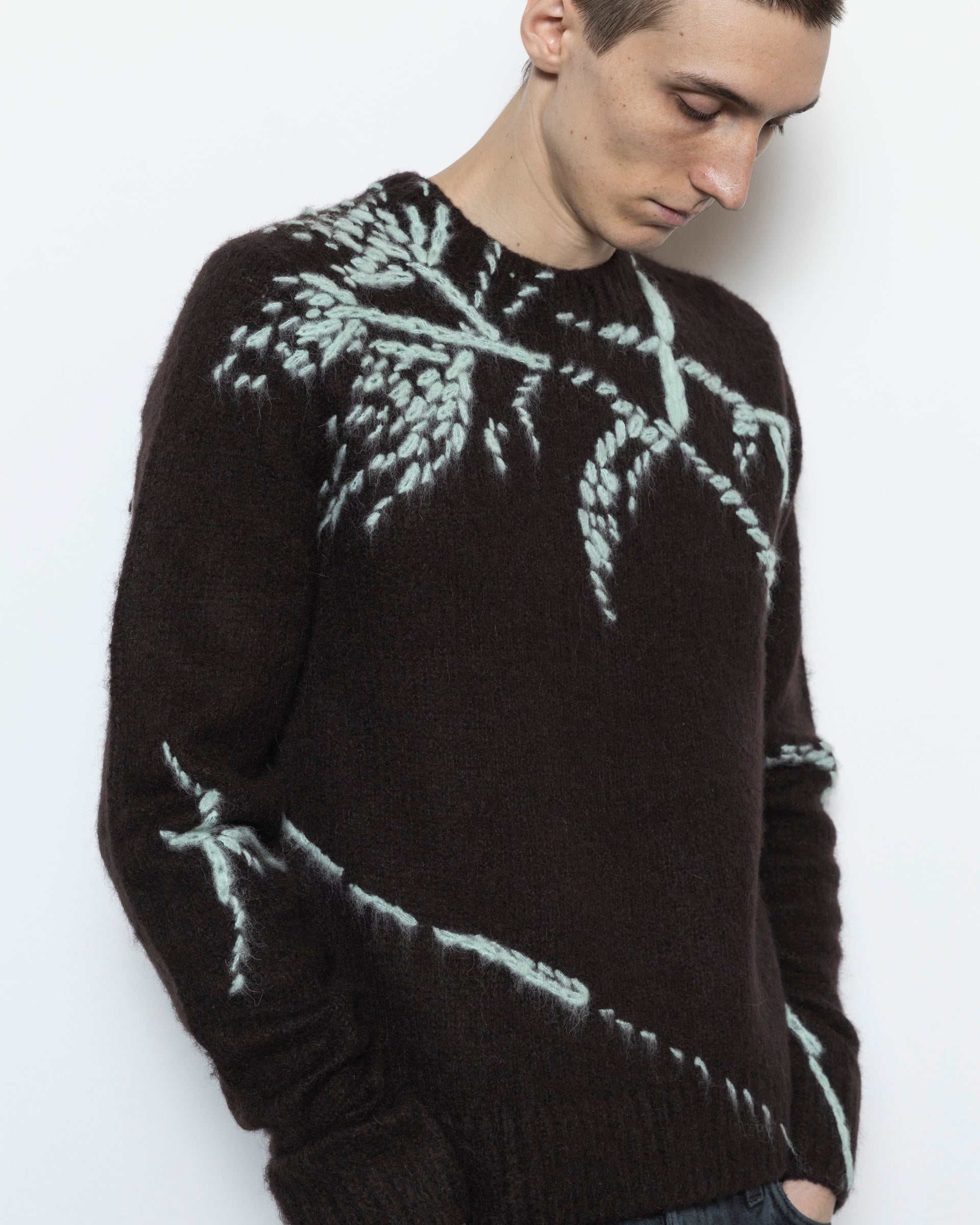 Dries Van Noten Mouche Sweater in Dark Brown | RODEN GRAY