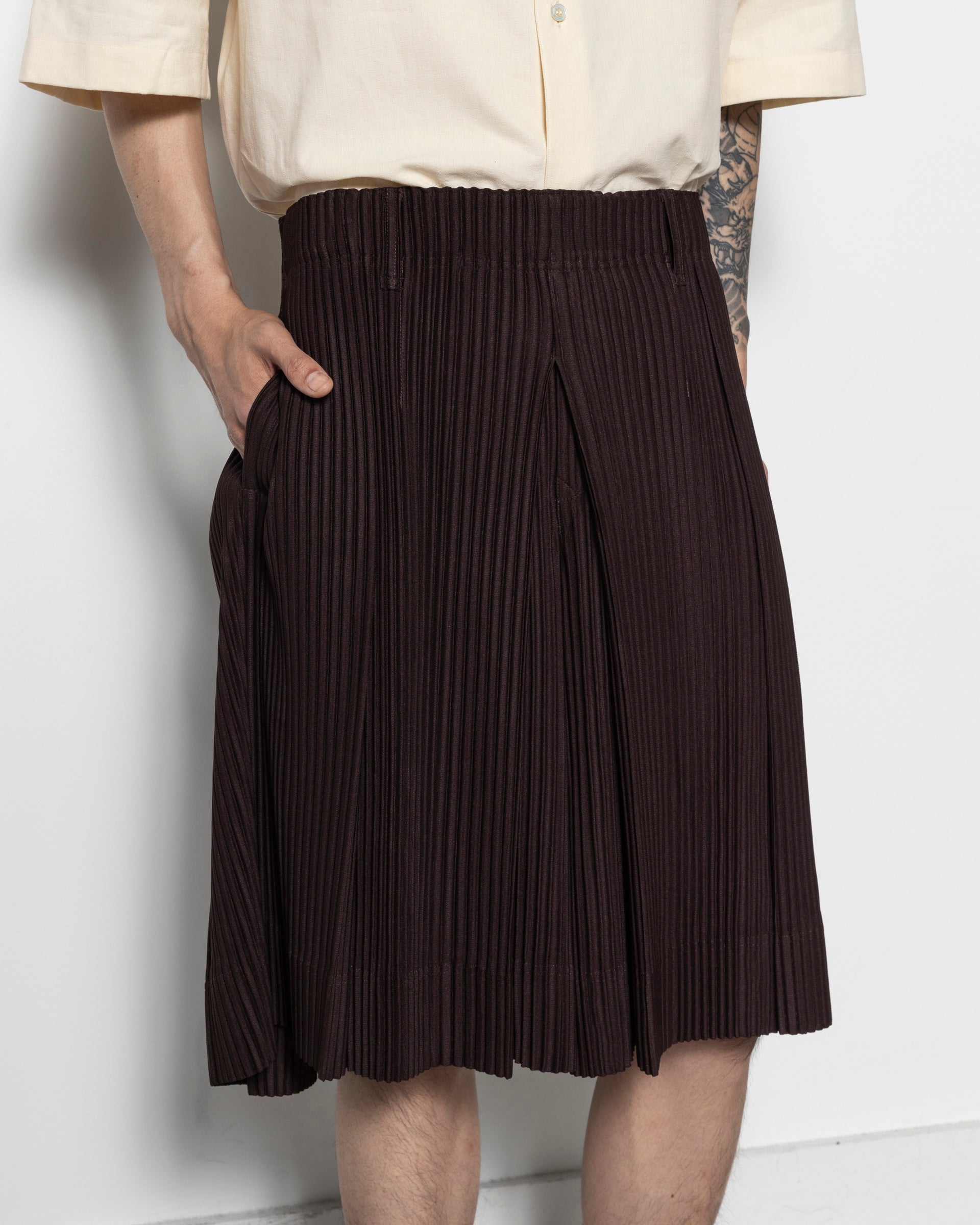 Tailored Pleats 2 in Egg Plant