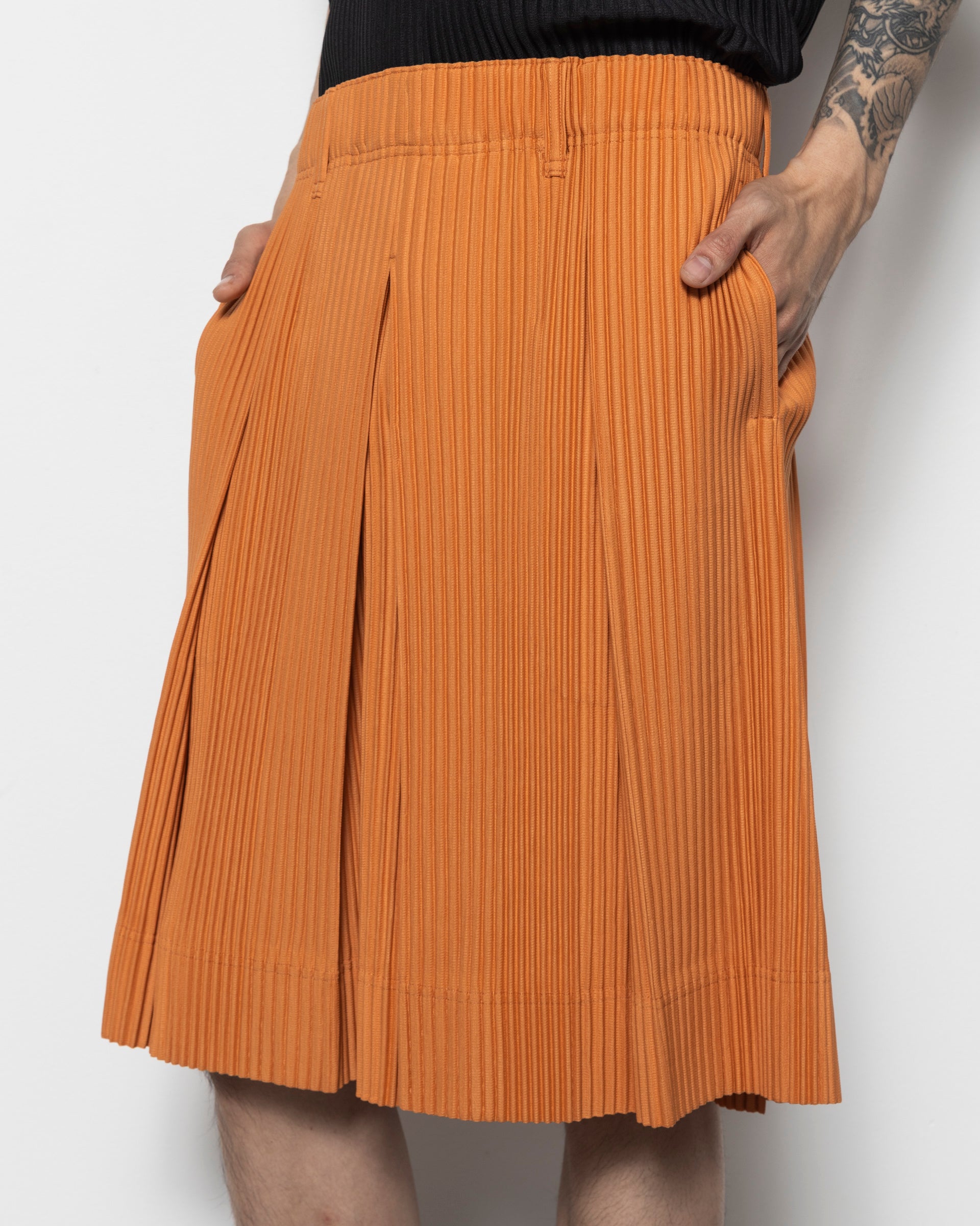 Tailored Pleats 2 in Manarola Brick Brown