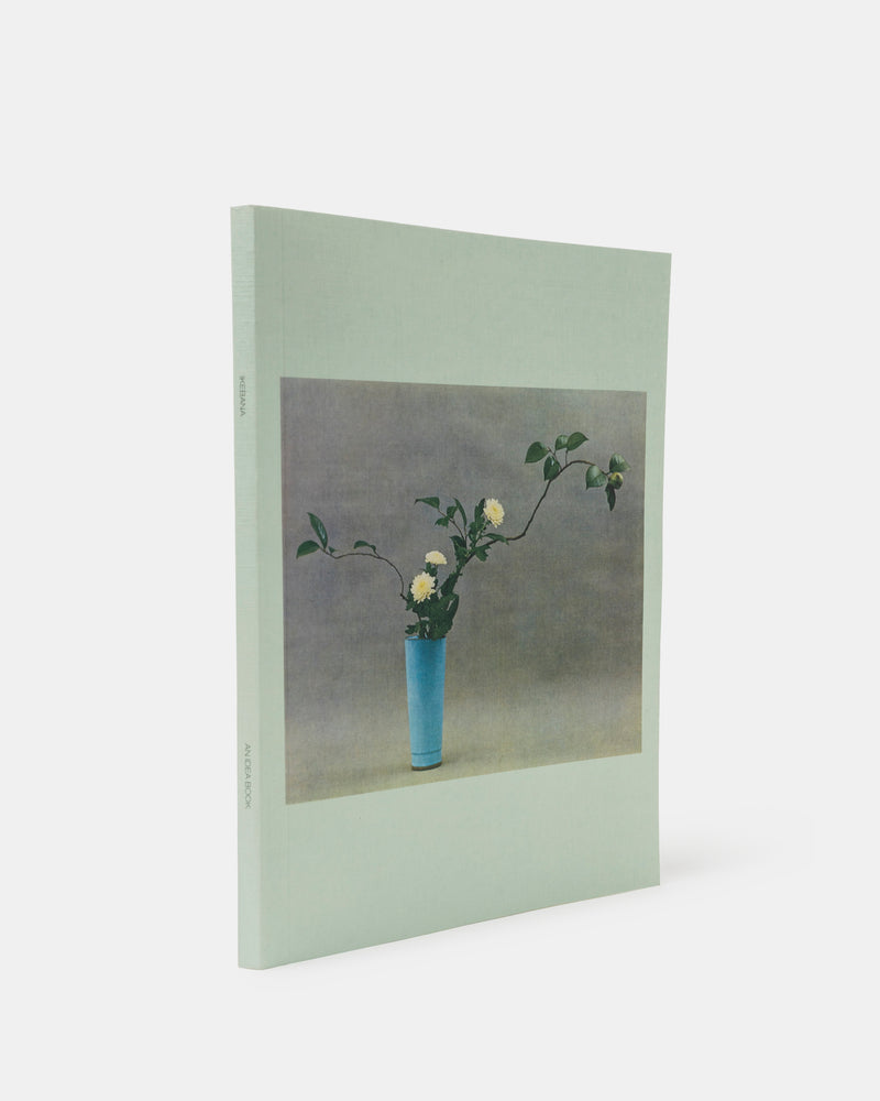 Ikebana - An Idea Book