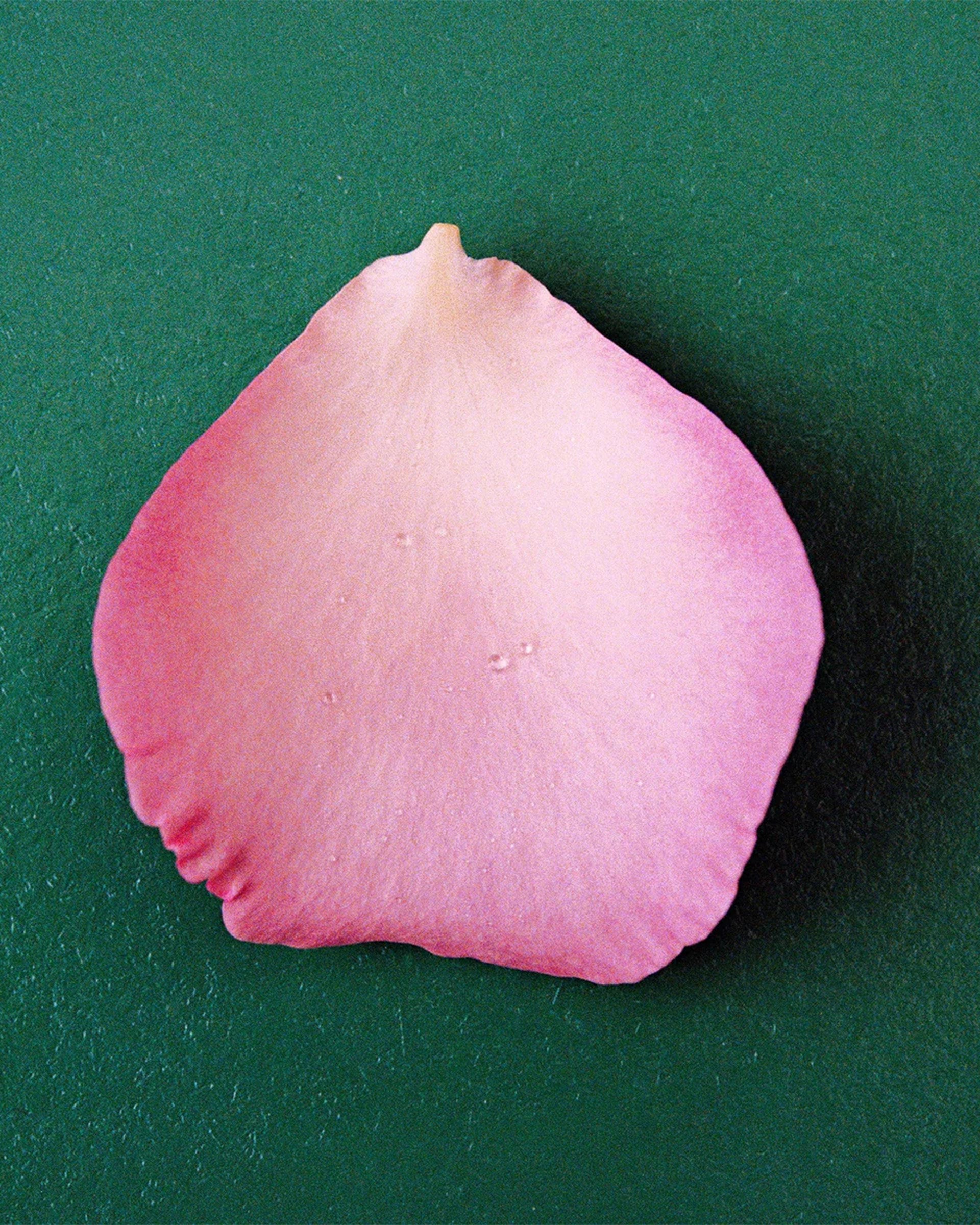 THE ROSE Eau de Parfum