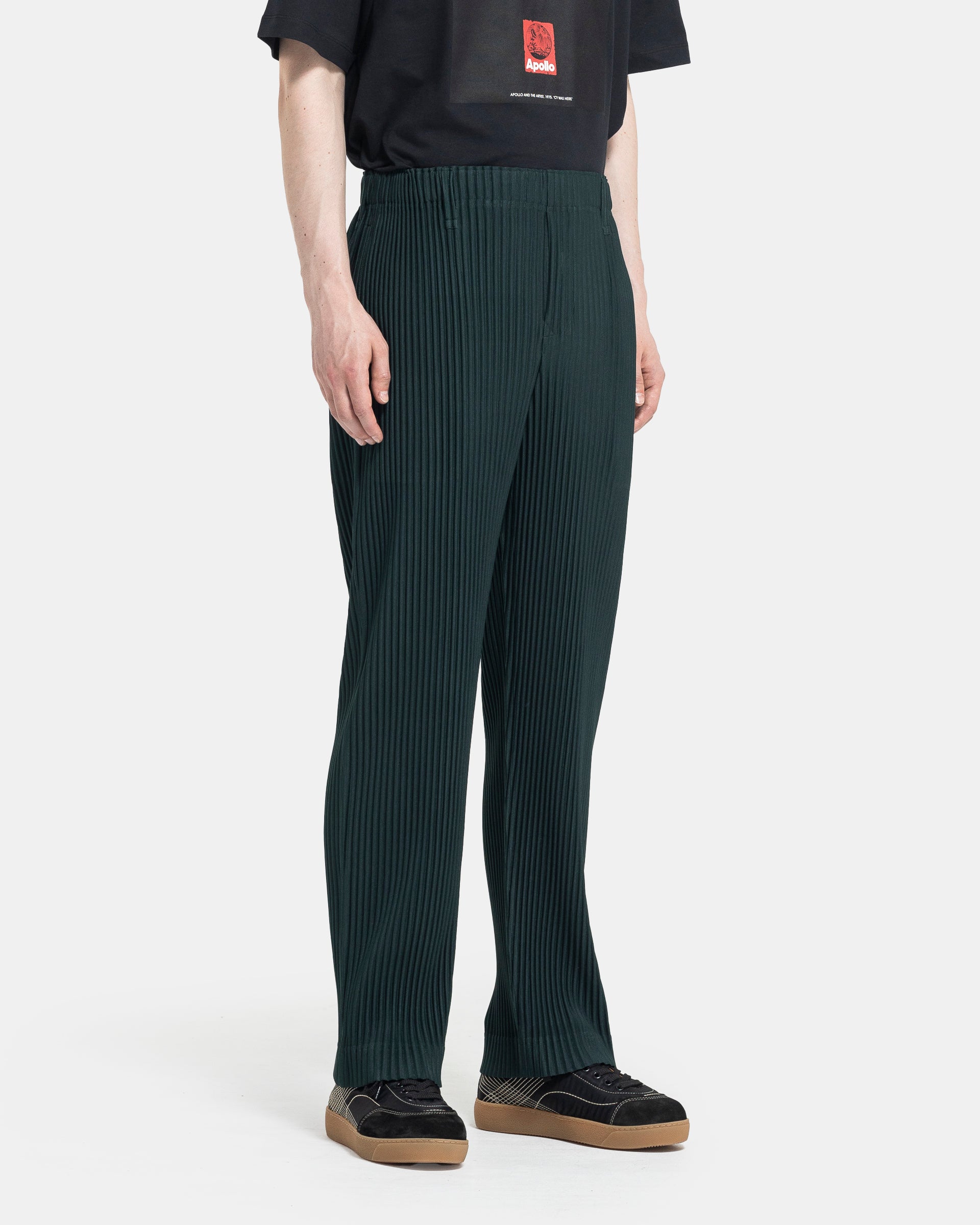 Colour Pleats Pants in Sage Green