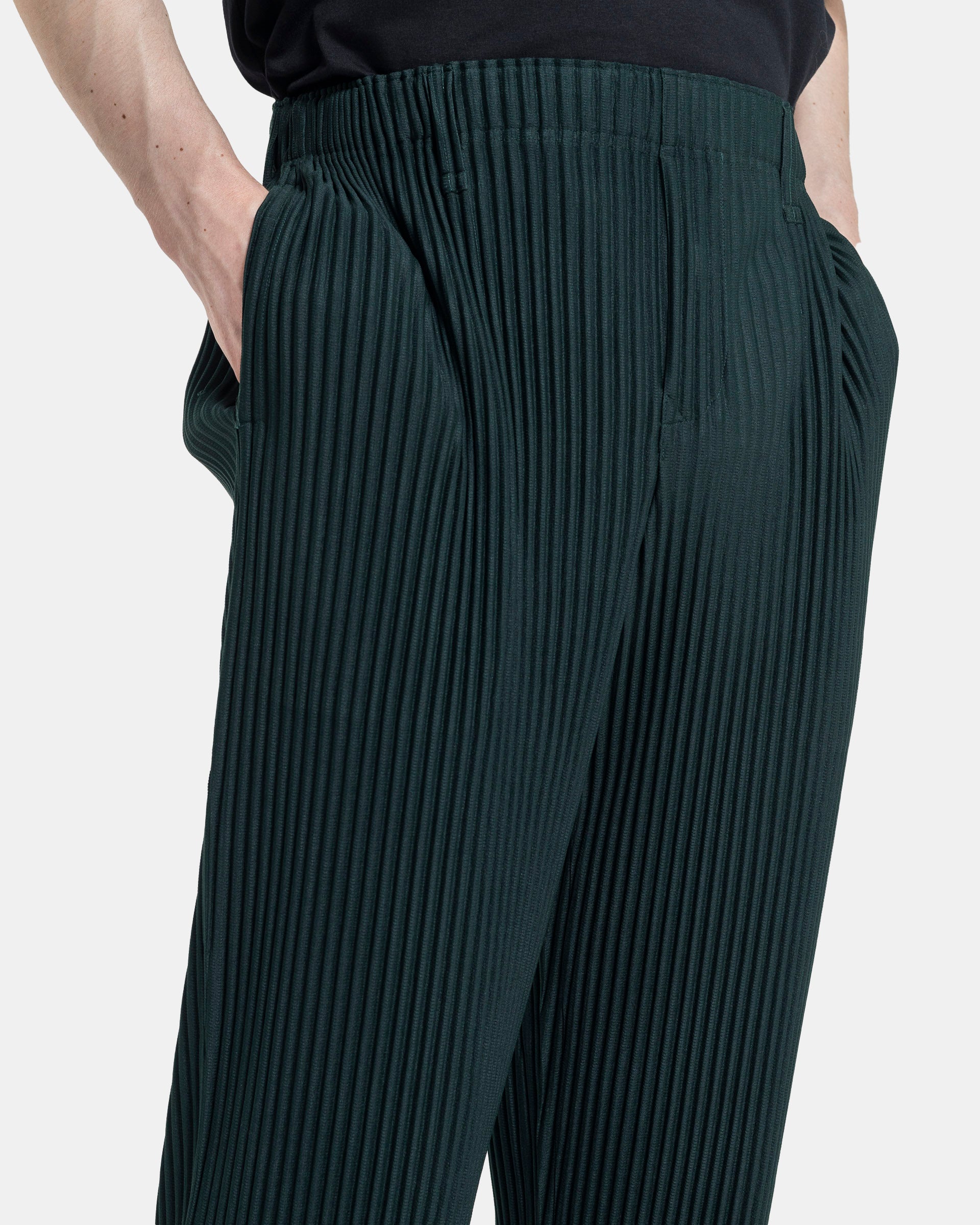 Colour Pleats Pants in Sage Green