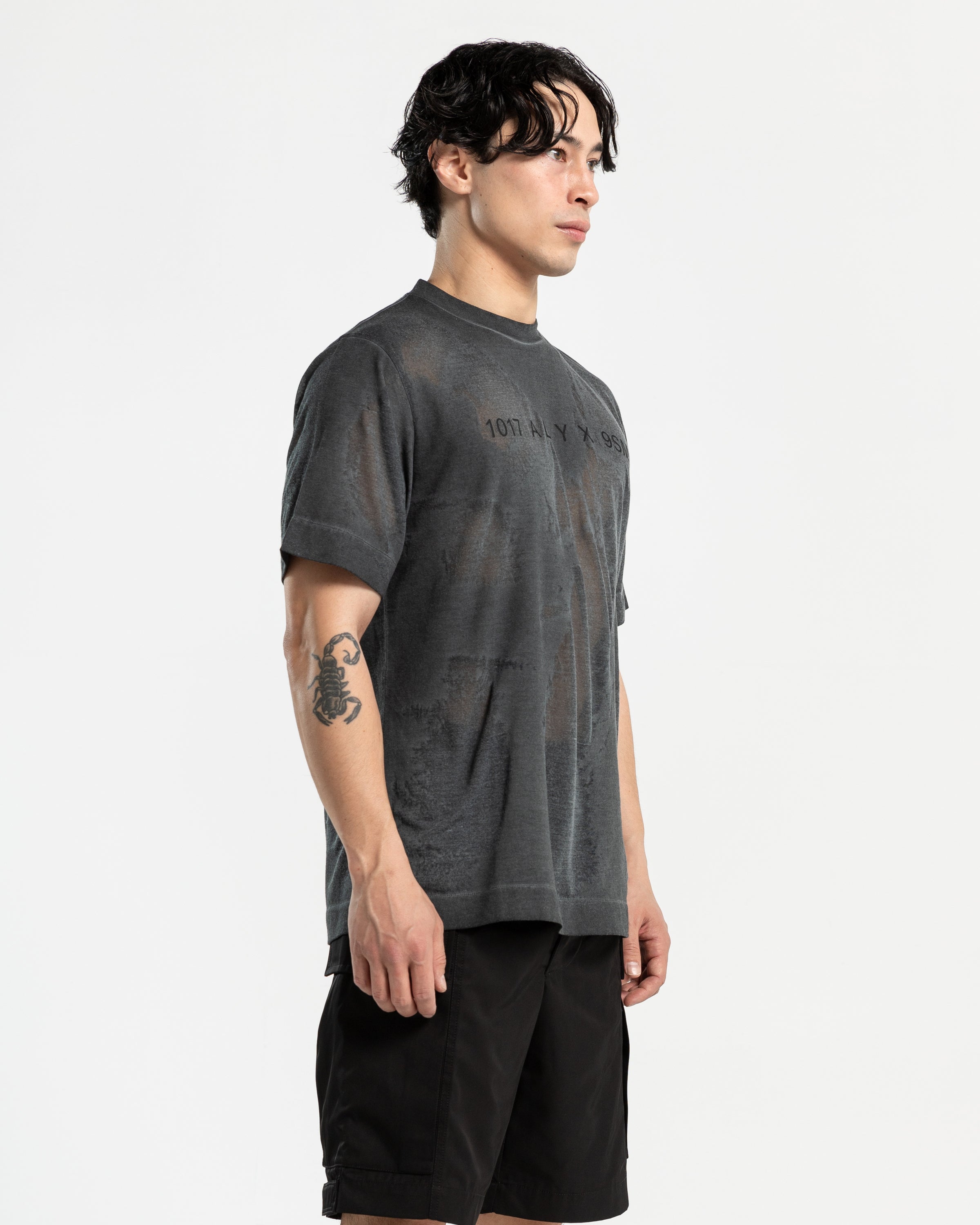 Translucent Graphic T-Shirt in Grey