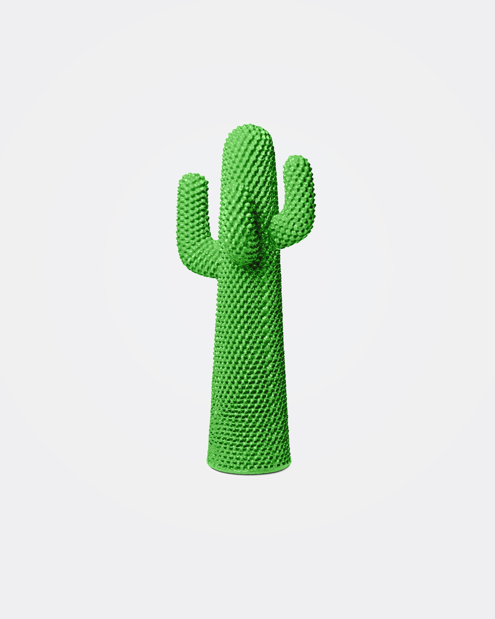 Another Green Cactus