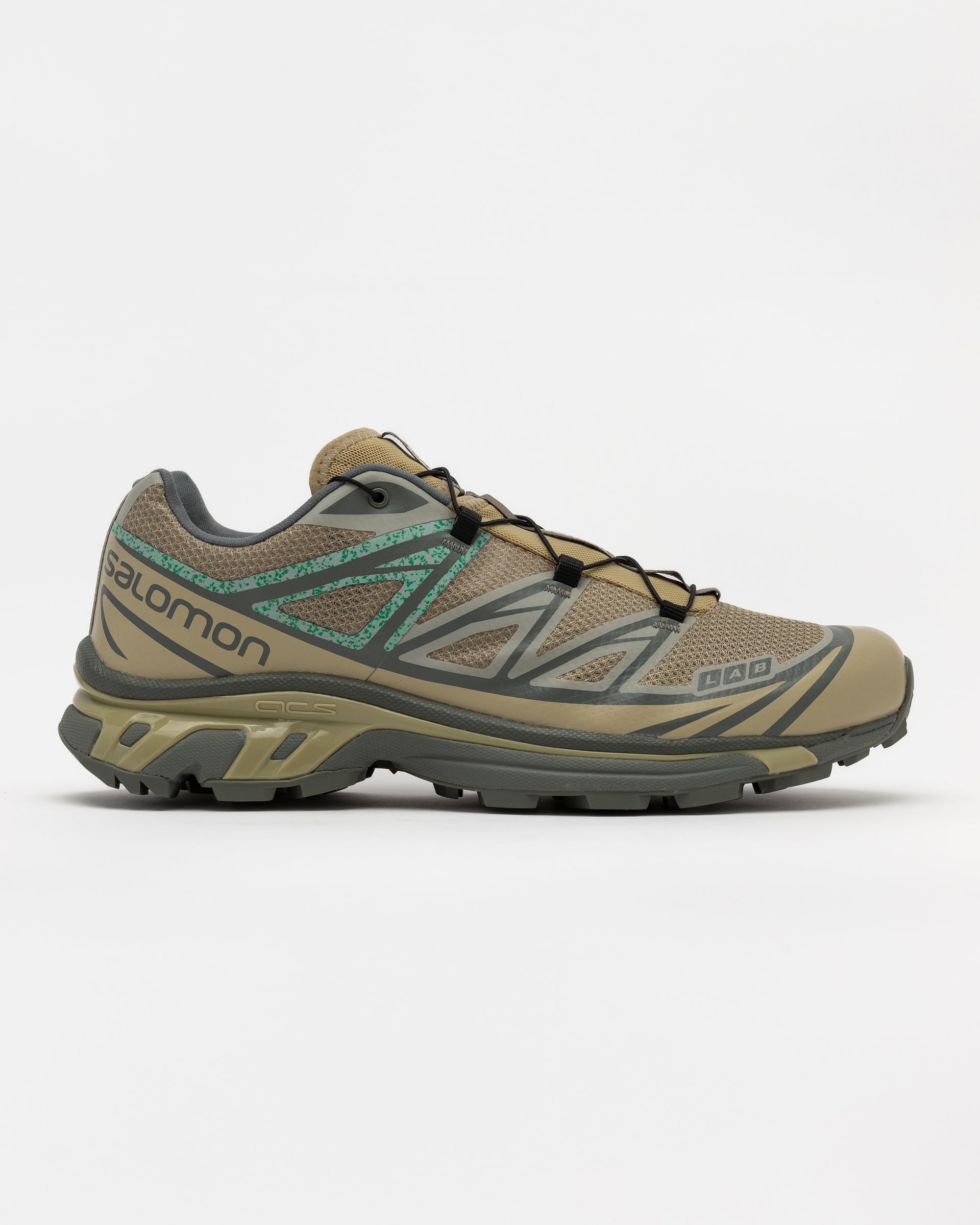 torridon low gtx salomon