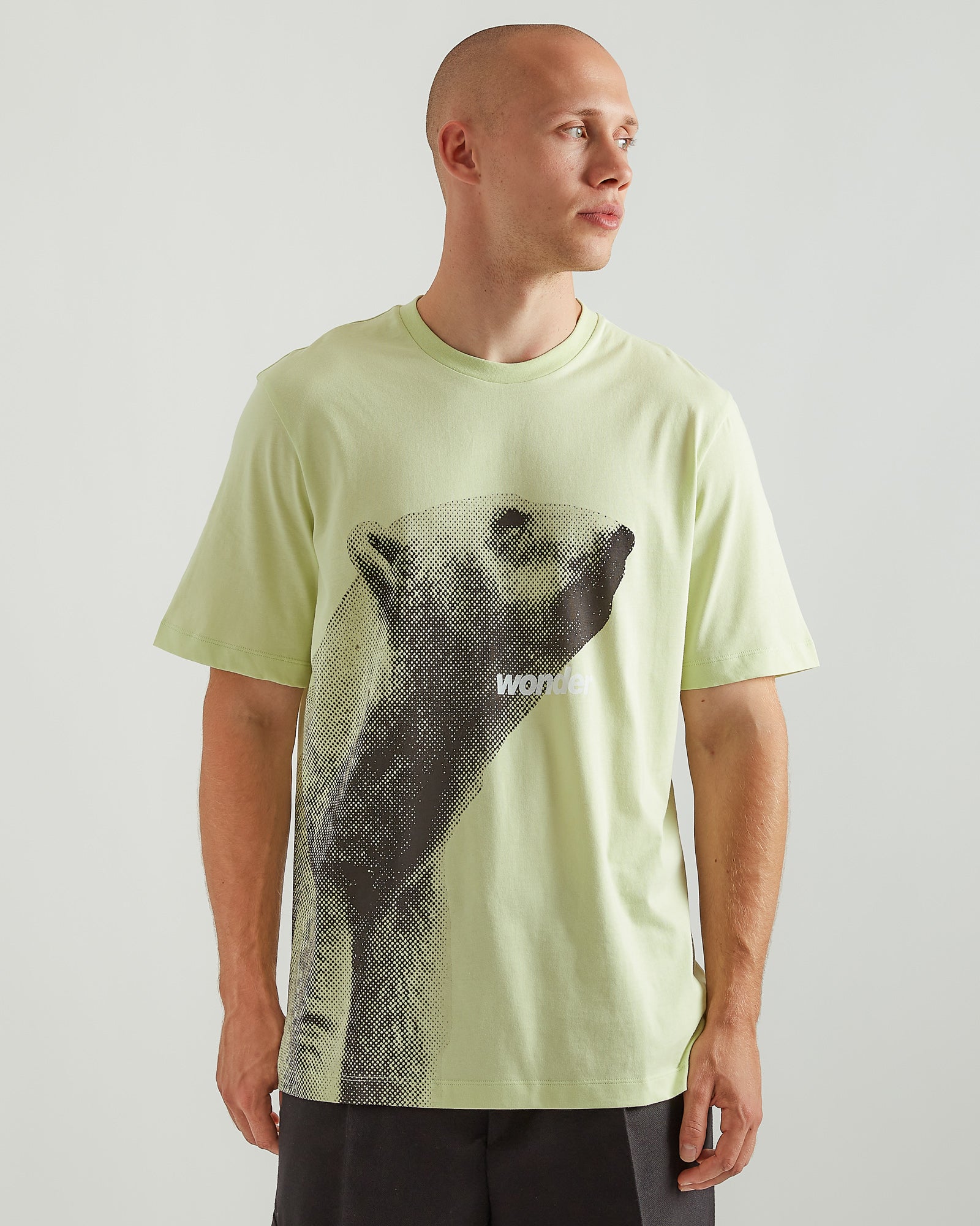 Tribute T-Shirt in Washed Lime